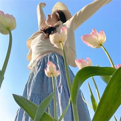 妖狐苏妲己